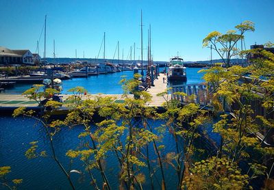 Boats in calm blue sea