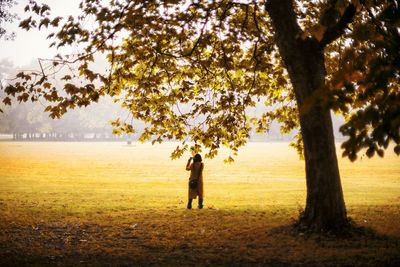 Silhouette of trees on field during sunset