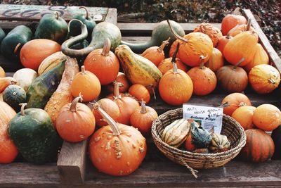 High angle view of pumpkins