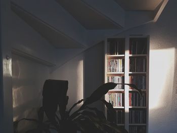 View of book racks at home