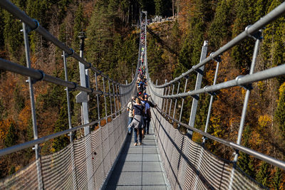 Rear view of people on footbridge against trees