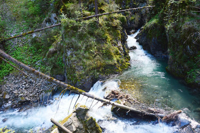 Scenic view of waterfall in forest