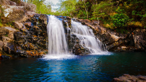 Scenic view of waterfall in forest