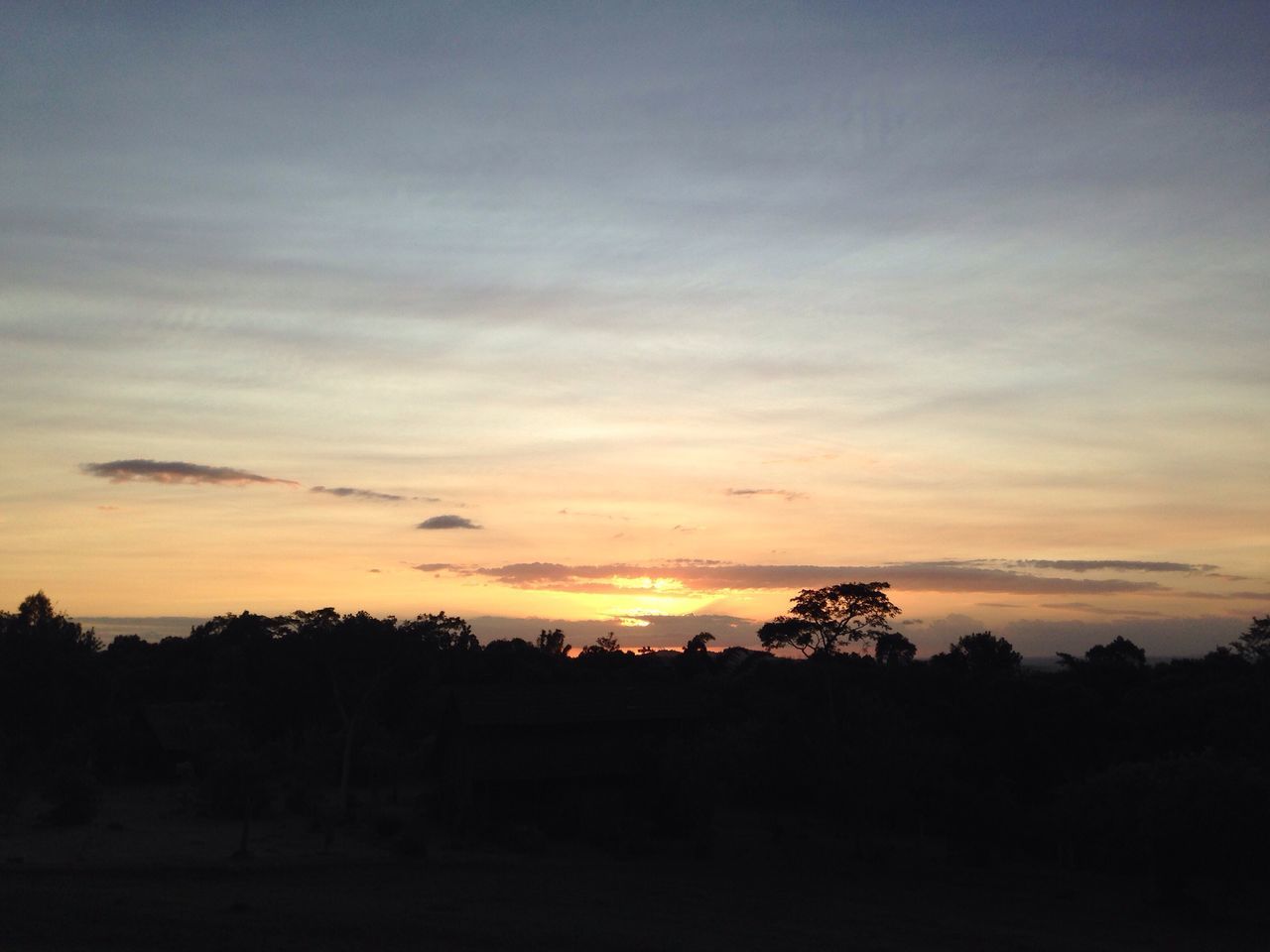 sunset, tree, nature, silhouette, beauty in nature, sky, growth, no people, scenics, outdoors