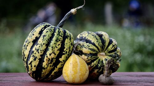 Close-up of pumpkin on table