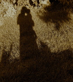 Shadow of man on wall