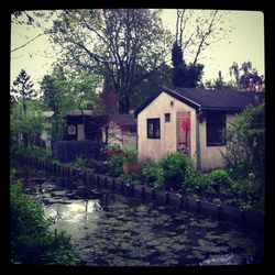 Houses with trees in background