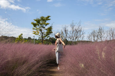 View of woman in pink muhly grass field on a sunny day
