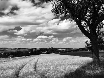 Scenic view of field against sky