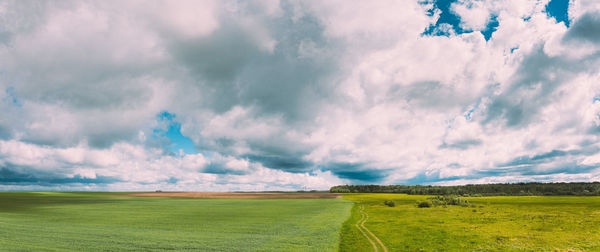 Scenic view of agricultural field against sky