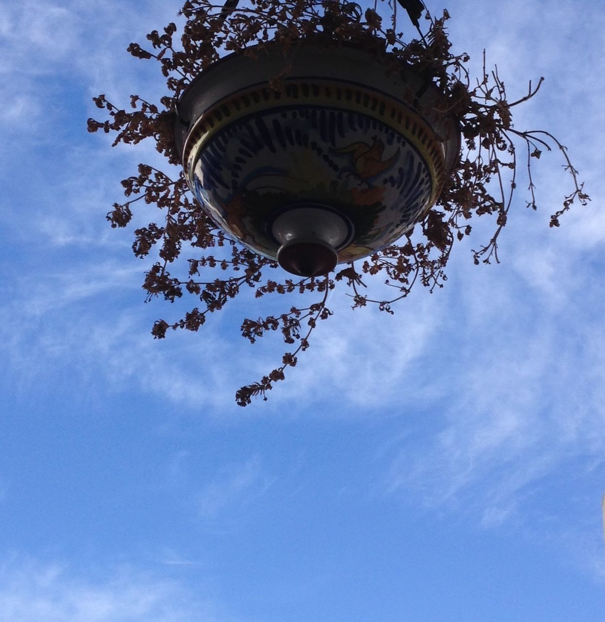 low angle view, sky, cloud - sky, lighting equipment, street light, cloud, tree, blue, cloudy, day, no people, outdoors, nature, hanging, branch, metal, electricity, growth, close-up, dusk