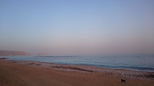 Scenic view of beach at sunset