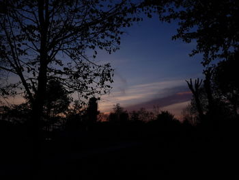 Silhouette trees on field against sky at sunset