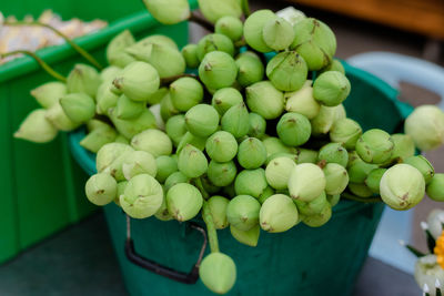 Close-up of grapes