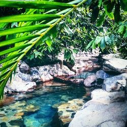 Stream flowing through rocks