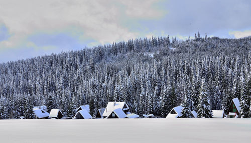 Scenic view of snow covered land against sky