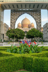 View of flowering plants against building