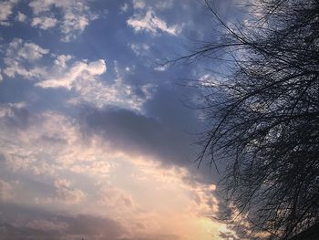 Low angle view of silhouette trees against sky at sunset