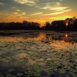 Scenic view of lake at sunset