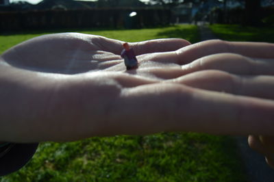 Close-up of hand on grass