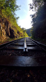 View of railway tracks against trees