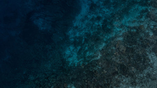 High angle view of ocean floor