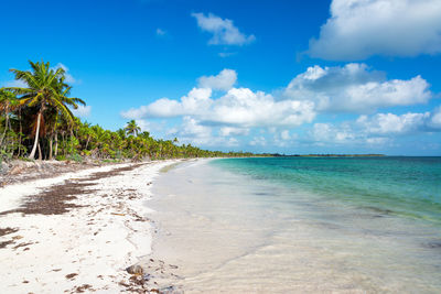 Scenic view of caribbean beach at sian kaan biosphere reserve during sunny day