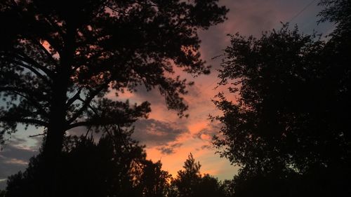 Low angle view of silhouette trees against sky during sunset