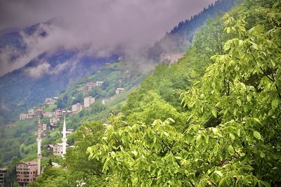 High angle view of trees on landscape