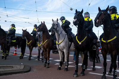 Group of people on zebra crossing