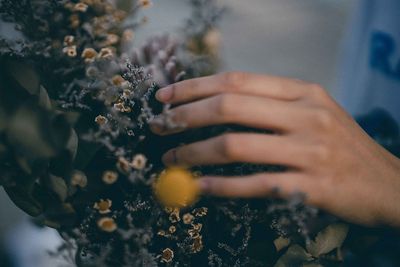 Close-up of woman hand holding flowering plants