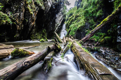 Scenic view of waterfall in forest