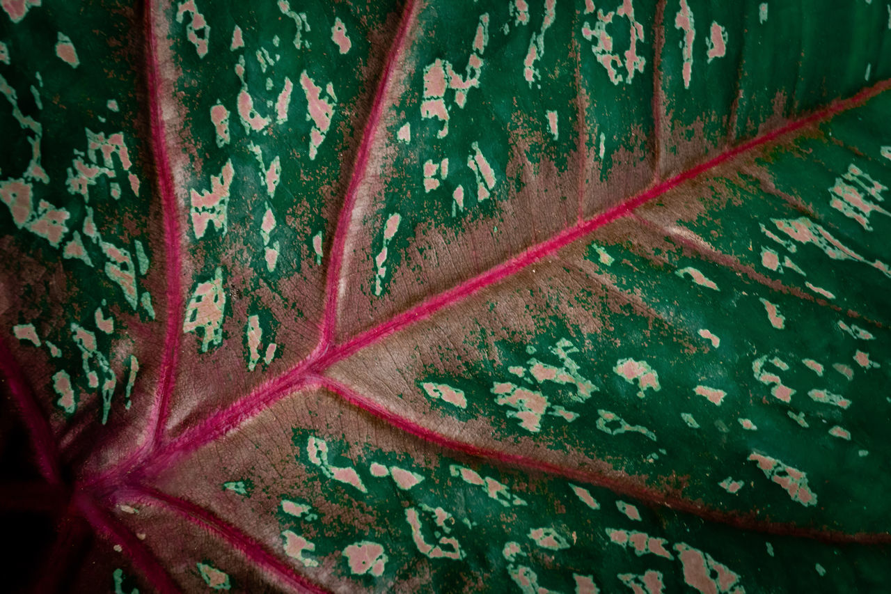 FULL FRAME SHOT OF OLD RUSTY METAL WALL