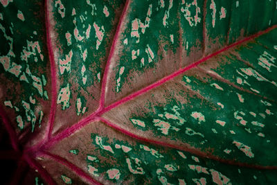 Full frame shot of old rusty metal