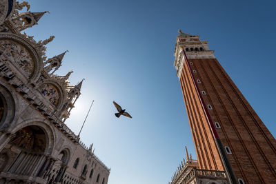 Low angle view of birds flying against sky