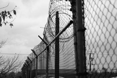 Razor wire on chainlink fence against sky