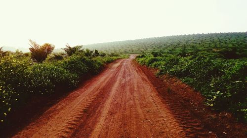 Road passing through field