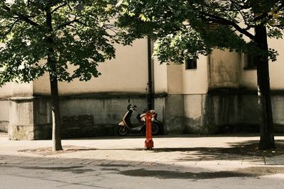 Rear view of woman walking on street