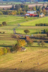 High angle view of agricultural field