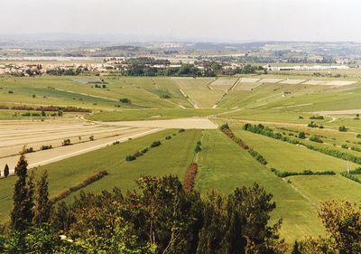 Scenic view of agricultural field against sky