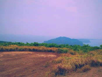 Scenic view of field against clear sky