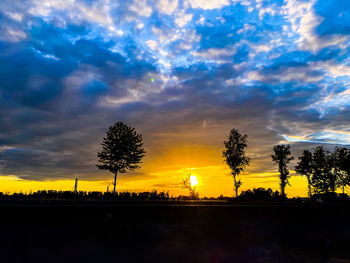 Silhouette trees on field against sky at sunset