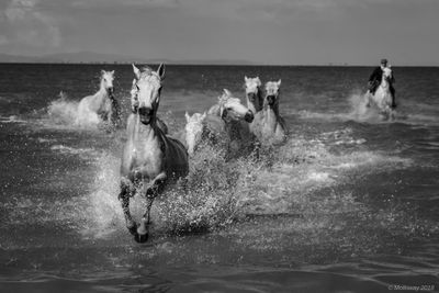 View of running in sea against sky