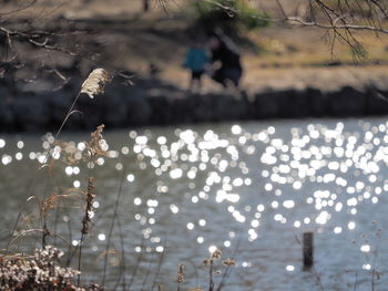 People by lake against sky