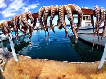 Close-up of water against sky