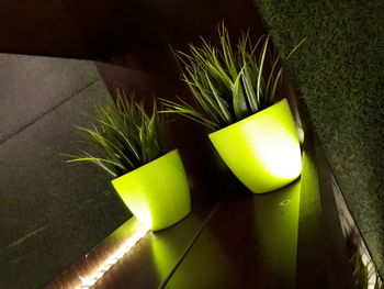 High angle view of grass