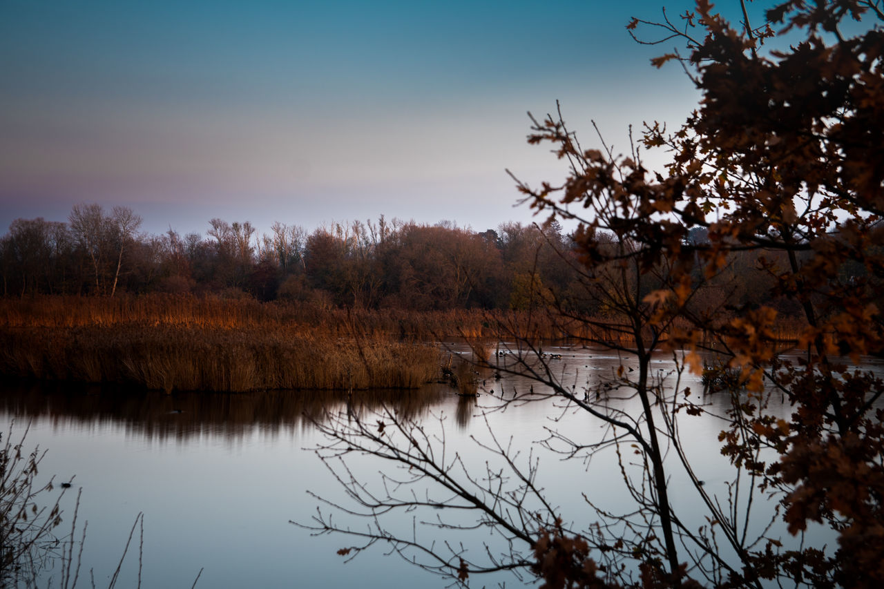 REFLECTION OF TREES ON LAKE DURING AUTUMN