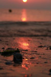 Surface level of wet beach at sunset