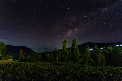 Scenic view of field against sky at night