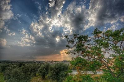 sky